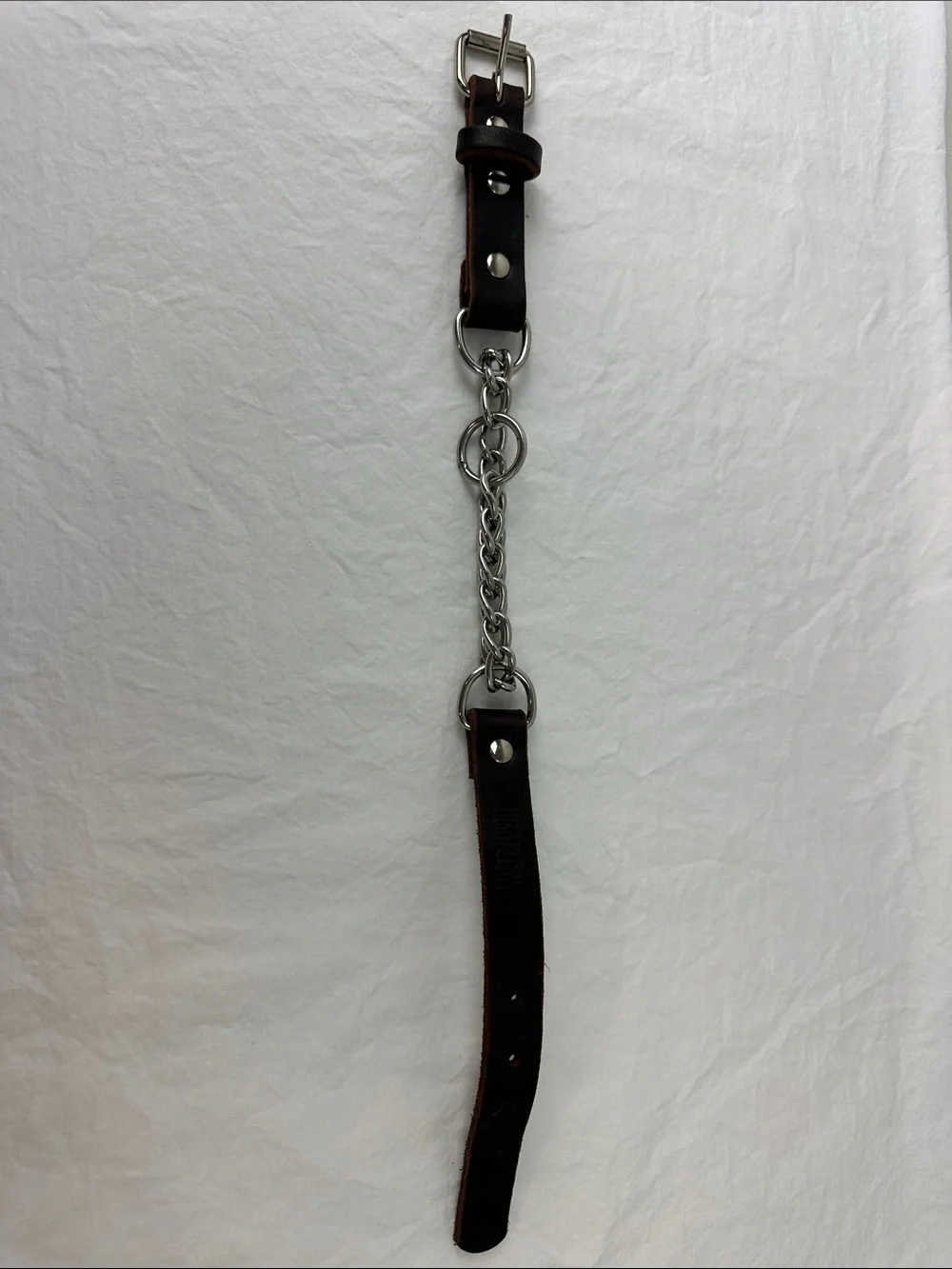 NWOT Mighty Paw Leather Martingale Dog Collar, Medium